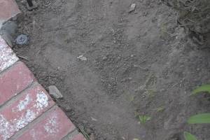 Landscaping Lighting System Replacement - Landscaping