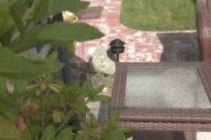 Landscaping Lighting System Replacement - Landscaping