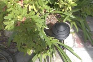 Landscaping Lighting System Replacement - Landscaping