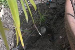 Landscaping Lighting System Replacement - Landscaping