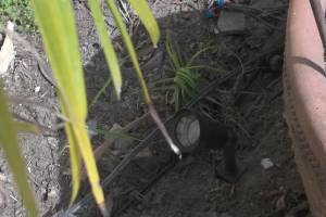 Landscaping Lighting System Replacement - Landscaping