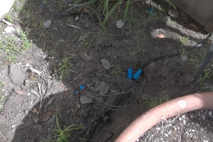 Landscaping Lighting System Replacement - Landscaping