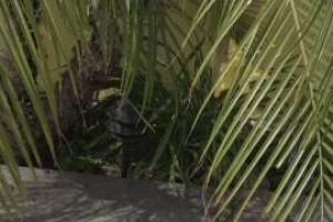 Landscaping Lighting System Replacement - Landscaping