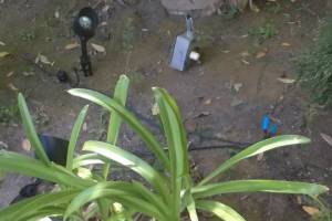 Landscaping Lighting System Replacement - Landscaping