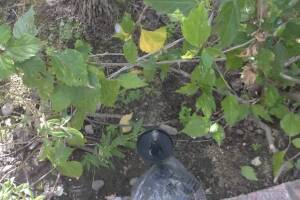 Landscaping Lighting System Replacement - Landscaping