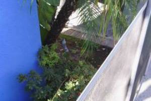 Landscaping Lighting System Replacement - Landscaping