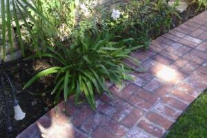 Landscaping Lighting System Replacement - Landscaping