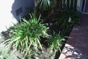 Landscaping Lighting System Replacement - Landscaping