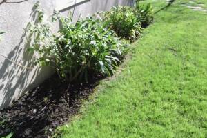 Landscaping Lighting System Replacement - Landscaping