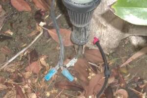 Landscaping Lighting Wiring Repairs - Landscaping