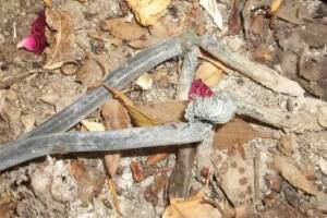 Landscaping Lighting Wiring Repairs - Landscaping