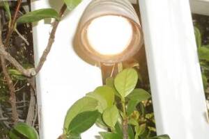 Landscaping Lighting Wiring Repairs - Landscaping