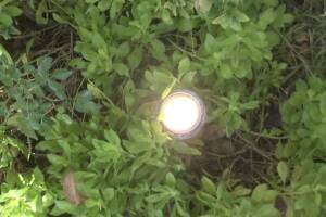 Landscaping Lighting Wiring Repairs - Landscaping