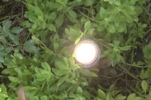 Landscaping Lighting Wiring Repairs - Landscaping