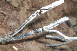 Landscaping Lighting Wiring Repairs - Landscaping