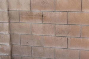 Landscaping Pressure Washing Concrete Wall - Landscaping
