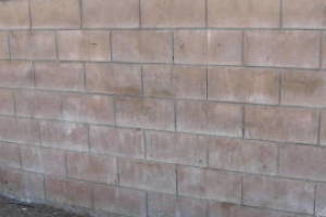 Landscaping Pressure Washing Concrete Wall - Landscaping