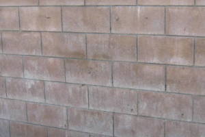 Landscaping Pressure Washing Concrete Wall - Landscaping