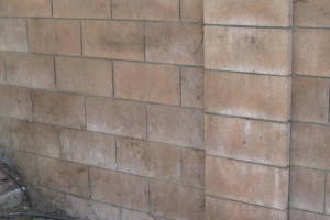 Landscaping Pressure Washing Concrete Wall - Landscaping