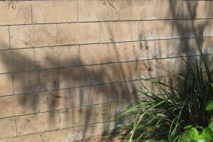 Landscaping Pressure Washing Concrete Wall - Landscaping