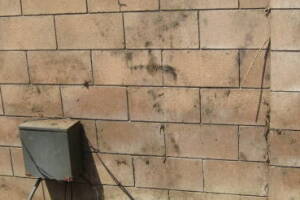 Landscaping Pressure Washing Concrete Wall - Landscaping