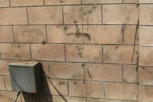Landscaping Pressure Washing Concrete Wall - Landscaping