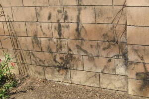Landscaping Pressure Washing Concrete Wall - Landscaping