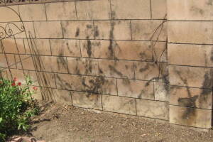 Landscaping Pressure Washing Concrete Wall - Landscaping