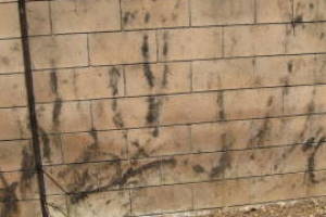 Landscaping Pressure Washing Concrete Wall - Landscaping