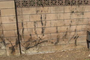 Landscaping Pressure Washing Concrete Wall - Landscaping