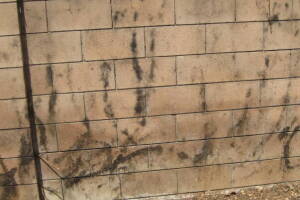 Landscaping Pressure Washing Concrete Wall - Landscaping