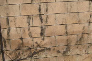 Landscaping Pressure Washing Concrete Wall - Landscaping