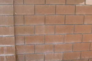 Landscaping Pressure Washing Concrete Wall - Landscaping