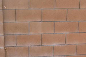 Landscaping Pressure Washing Concrete Wall - Landscaping