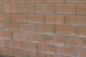 Landscaping Pressure Washing Concrete Wall - Landscaping