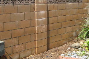 Landscaping Pressure Washing Concrete Wall - Landscaping