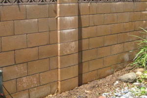 Landscaping Pressure Washing Concrete Wall - Landscaping