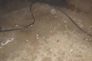 Landscaping Pressure Washing Driveway Garage - Landscaping