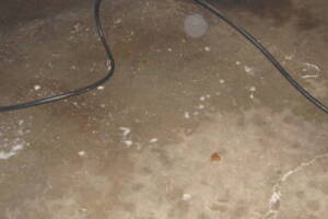 Landscaping Pressure Washing Driveway Garage - Landscaping