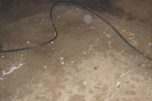 Landscaping Pressure Washing Driveway Garage - Landscaping