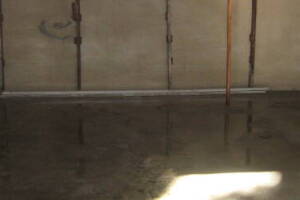 Landscaping Pressure Washing Driveway Garage - Landscaping