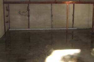 Landscaping Pressure Washing Driveway Garage - Landscaping