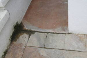 Landscaping Pressure Washing Driveway Patio - Landscaping