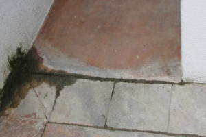 Landscaping Pressure Washing Driveway Patio - Landscaping