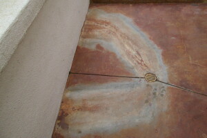 Landscaping Pressure Washing Driveway Patio - Landscaping