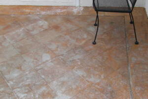 Landscaping Pressure Washing Driveway Patio - Landscaping