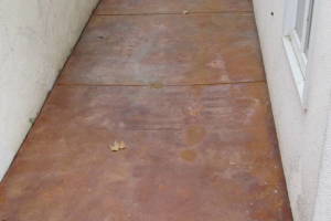 Landscaping Pressure Washing Driveway Patio - Landscaping