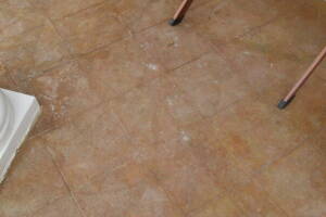 Landscaping Pressure Washing Driveway Patio - Landscaping