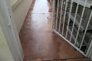 Landscaping Pressure Washing Driveway Patio - Landscaping