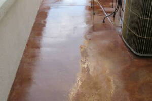 Landscaping Pressure Washing Driveway Patio - Landscaping